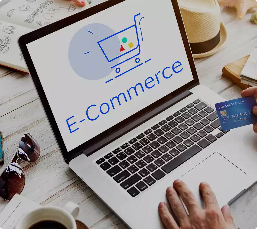 Distributeurs B2B E-commerce Pro